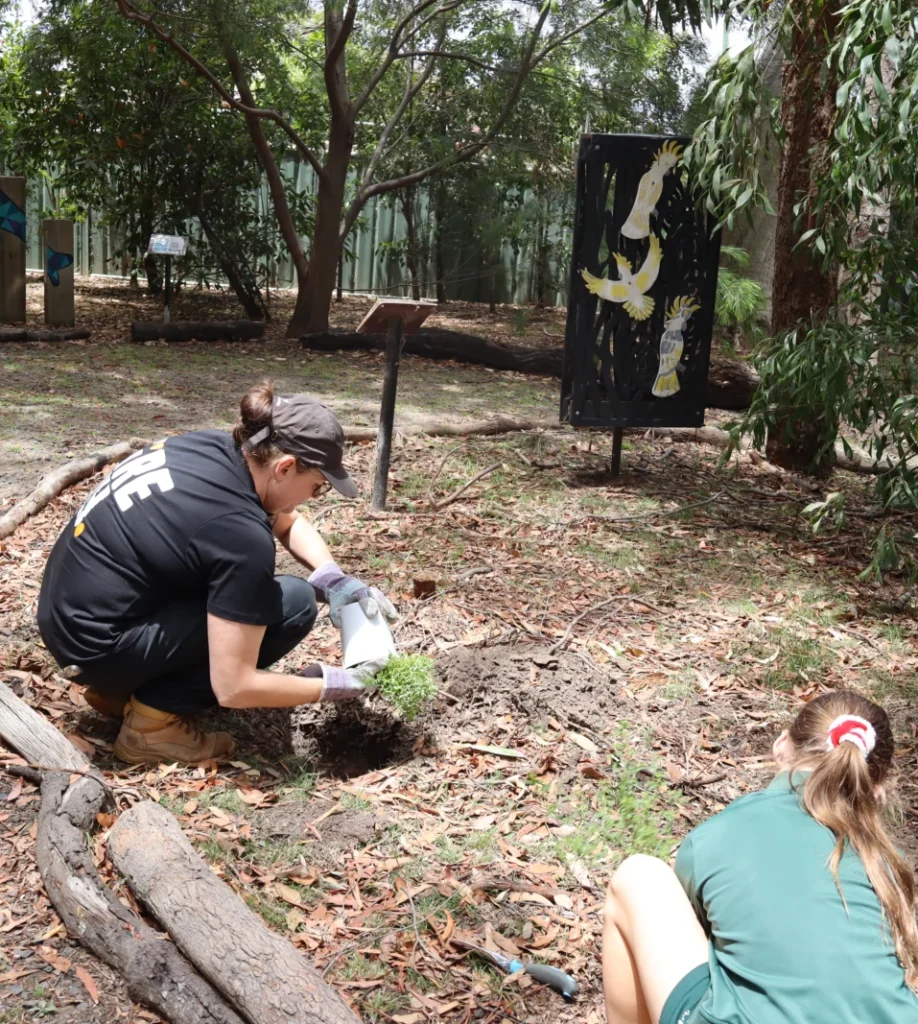 Youth Voice jr Tash planting tree