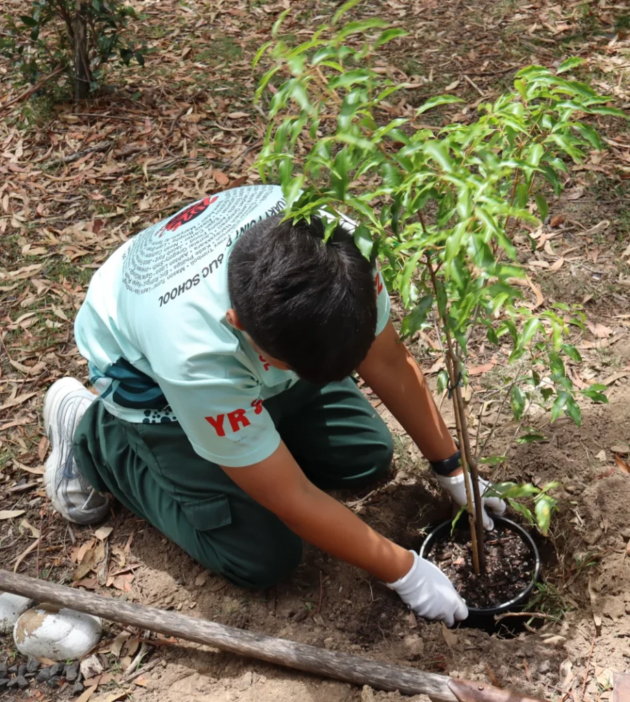 Youth Voice Jr student planting tree